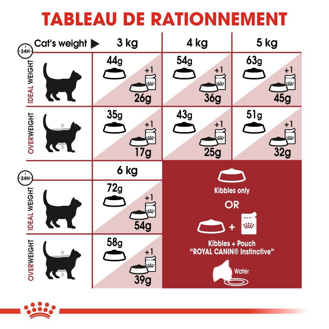Royal Canin - Croquettes Fit 32 pour Chat Adulte - 400g Image num&eacute;ro 5