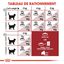 Royal Canin - Croquettes Fit 32 pour Chat Adulte - 400g Indicateur image numéro 5