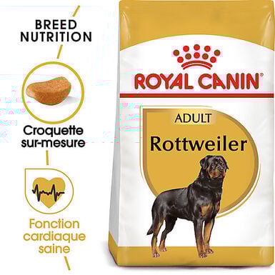 Royal Canin - Croquettes ROTTWEILER ADULT pour Chiens - 12KG