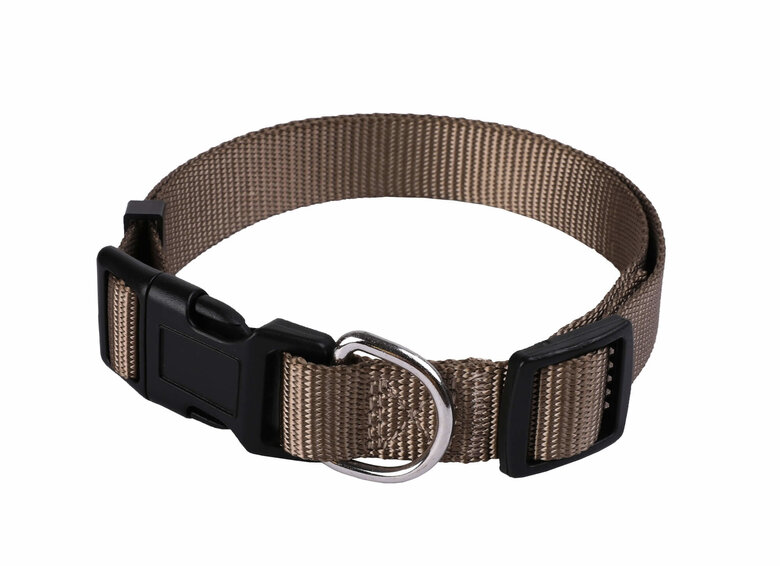 Animalis - Collier Basic Taupe pour Chien - 12mm et 23/30cm Image numéro 1 Animalis - Collier Basic Taupe pour Chien - 12mm et 23/30cm Image numéro 1