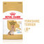Royal Canin - Croquettes Yorkshire Terrier Adult 8+ pour Chiens Seniors - 1,5Kg Indicateur image numéro 1