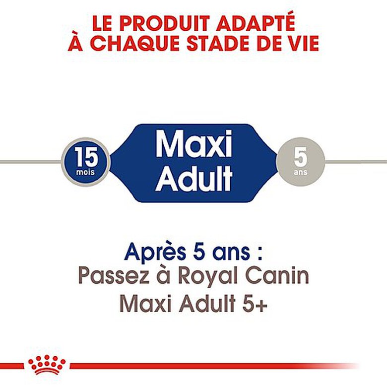 Royal Canin - Croquettes Maxi Adult pour Chien image number null
