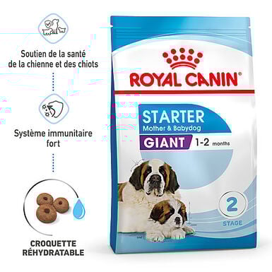 Royal Canin - Croquettes Giant Starter Mother & Babydog pour chiots - 15kg