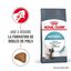 Royal Canin - Croquettes Hairball Care pour Chat - 4Kg Indicateur image numéro 1