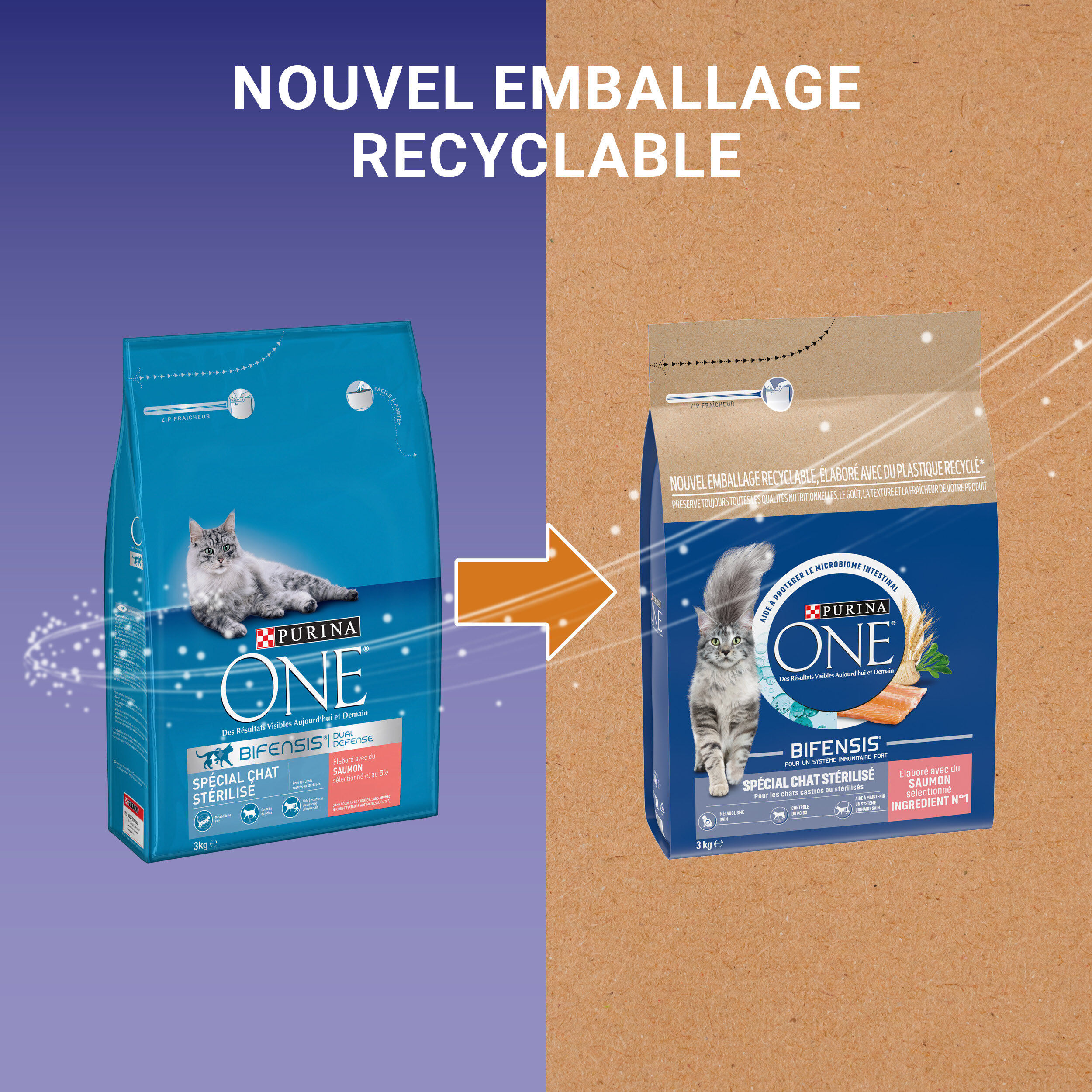 Purina One - Croquettes au Saumon et Bl&eacute; pour Chat Adulte St&eacute;rilis&eacute; - 3Kg Image num&eacute;ro 7
