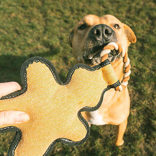 Duvoplus - Jouet Canvas bonhomme en pain d'&eacute;pice Multicolore - 17 x 28 x 55 cm Image num&eacute;ro 2