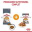 Royal Canin - Croquettes Hair & Skin Care pour Chat - 400g Indicateur image numéro 3