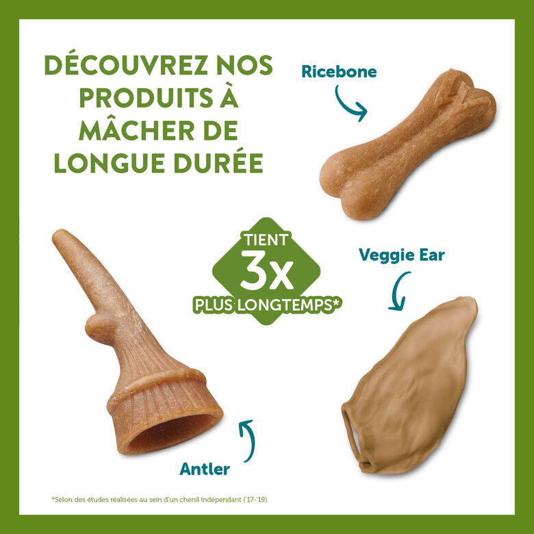 Whimzees - Sachet Antler  - S 24 Pcs Image numéro 3 Whimzees - Sachet Antler  - S 24 Pcs Image numéro 3