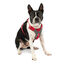Kurgo - Harnais "Journey Air" Rouge pour Chiens - XS Indicateur image numéro 1