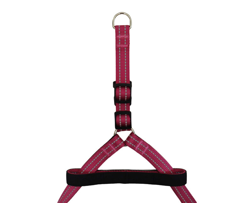 Gotoo - Harnais en Nylon Premium Rose pour Chien - L Image numéro 2 Gotoo - Harnais en Nylon Premium Rose pour Chien - L Image numéro 2