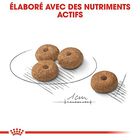 Royal Canin - Croquettes Mini Sterilised pour Chien Stérilisé - 8Kg image number null