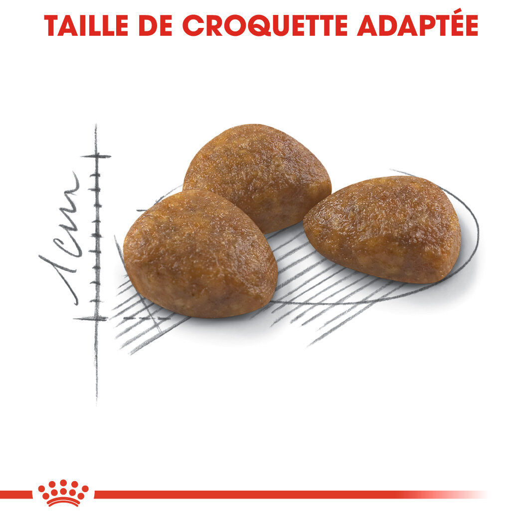 Royal Canin - Croquettes Outdoor7+ pour Chats d'Ext&eacute;rieurs - 4Kg Image num&eacute;ro 4