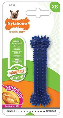 Nylabone - Jouet Os Dental Moderate Chew pour Chien - XS