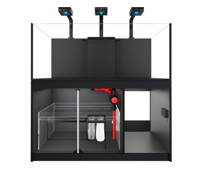Red Sea - REEFER - 525 G2+ DLX - 160S NOIR Image numéro 1 Red Sea - REEFER - 525 G2+ DLX - 160S NOIR Image numéro 1
