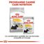 Royal Canin - Croquettes Mini Dermacomfort pour Chien - 2Kg Indicateur image numéro 6