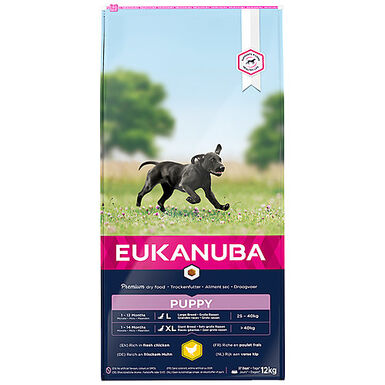 Eukanuba - Croquettes Chiot pour Grande Race au Poulet