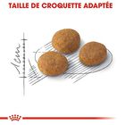 Royal Canin - Croquettes Aroma Exigent pour Chat - 2Kg image number null