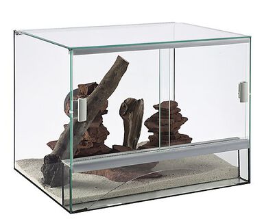 Aquavie - Terrarium en Verre pour Reptiles et Amphibiens - 120x50x60cm