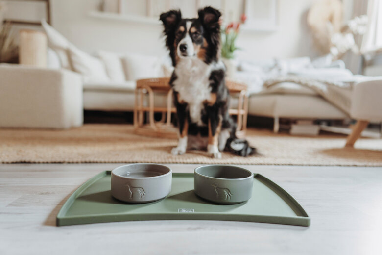 Hunter - Gamelle Osby en Céramique Kaki - 1100ml Image numéro 3 Hunter - Gamelle Osby en Céramique Kaki - 1100ml Image numéro 3