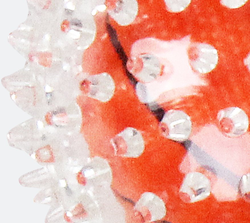 Tootoy! - Balle Basketball Image num&eacute;ro 2