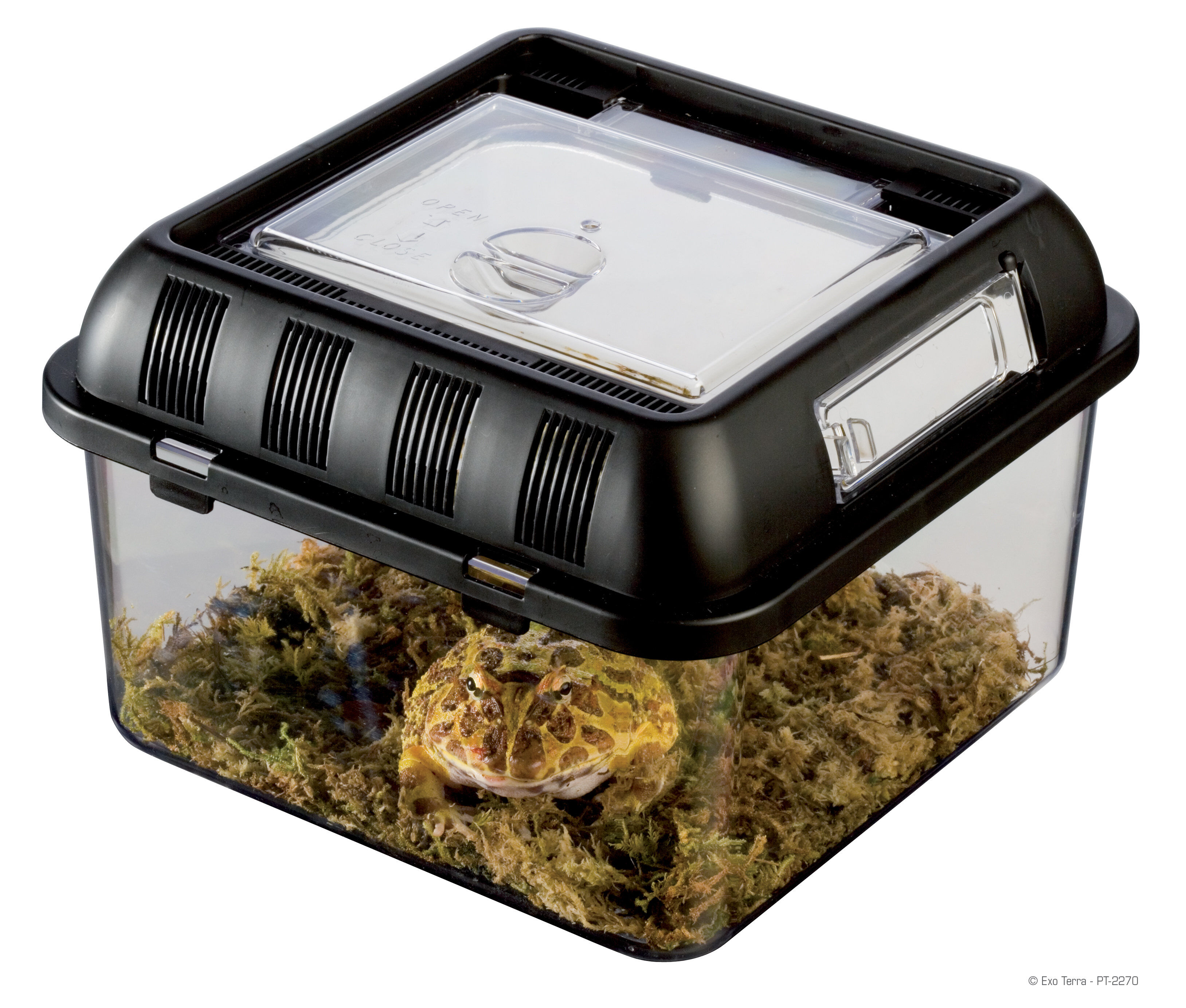 Exo Terra - Terrarium Breeding Box S pour Reptiles - 20x20x15cm Image num&eacute;ro 3