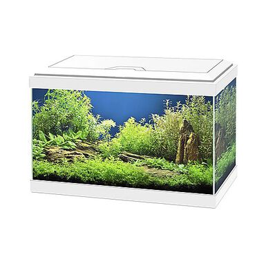 Superfish - Aquarium Equipé Qubiq Pro 30 pour Poisson - Blanc