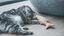 Tyrol - Jouet Poisson Griffoir en Liège pour Chat - 35cm Indicateur image numéro 4