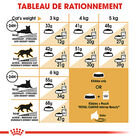 Royal Canin - Croquettes Siamese Adult pour Chats - 2Kg image number null
