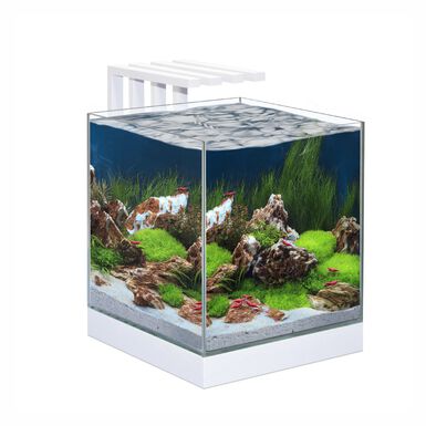Ciano - Aquarium - Nexus Design Équipé de LED + Filtre