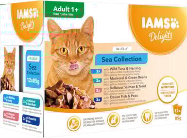 Iams - Boite Sachets Humides Delights Mer "Sea Collection" en Gelée pour Chats - 12x85g