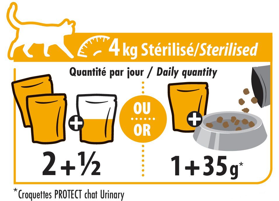 Pro-Nutrition - P&acirc;t&eacute;e en Sauce Protect Urinary pour Chats - 12x85g Image num&eacute;ro 2