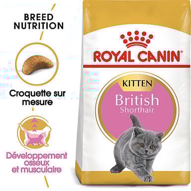 Royal Canin - Croquettes British Shorthair Kitten pour Chatons - 2Kg