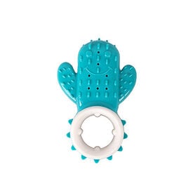 Summer Vibes - Cactus à Mâcher pour Chiens