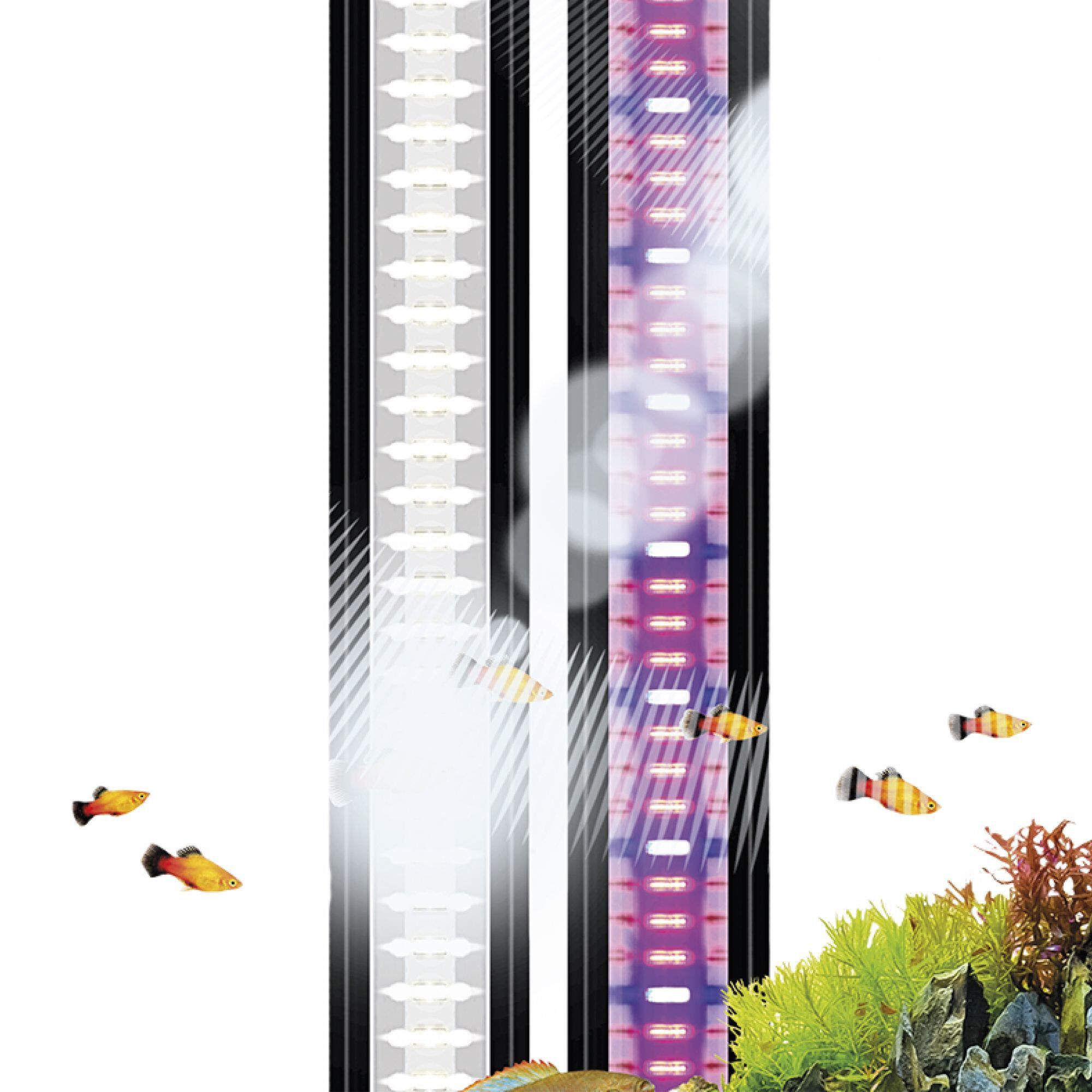 Ciano - Rampe Led CLE 60 Plants Noir pour Aquarium d'Eau Douce Image num&eacute;ro 5