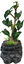 Repto - Arbre à Gouttes D'Eau - Réptiles Indicateur image numéro 3
