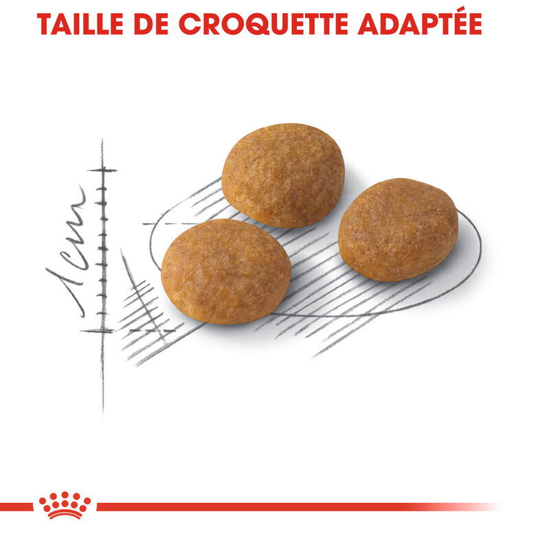 Royal Canin - Croquettes Aroma Exigent pour Chats - 400g image number null