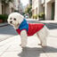 Gotoo - Manteau Imperm&eacute;able Rouge et Bleu pour Chiens - 30cm Indicateur image num&eacute;ro 16