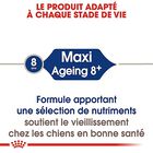 Royal Canin - Croquettes Maxi Ageing 8+ pour Chien Senior - 3Kg image number null