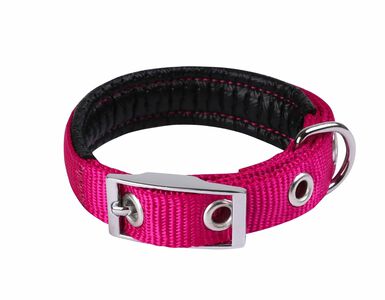 Animalis - Collier Basic Confort 20mm et 45cm pour Chien - Fuchsia