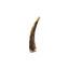 Animalis - Friandise Bois de Cerf Entier pour Chien - S Indicateur image numéro 1