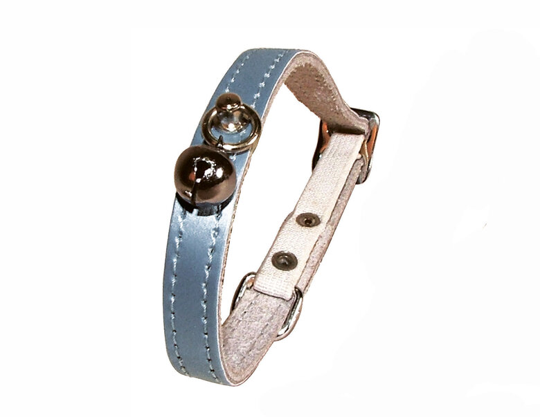 Bobby - Collier Irise pour Chats - Bleu Image numéro 2 Bobby - Collier Irise pour Chats - Bleu Image numéro 2