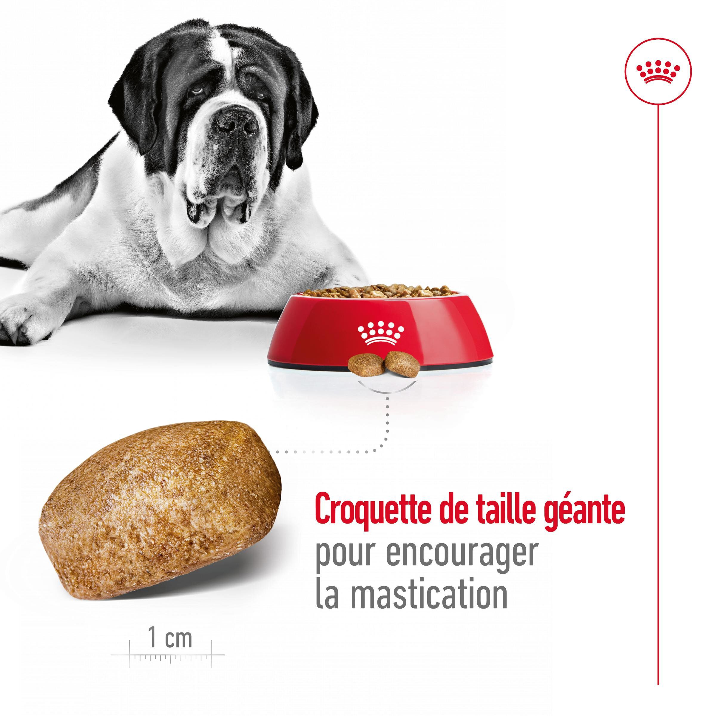 Royal Canin - Croquettes Giant Adult &agrave; Partir de 18/24 mois pour Chien - 15Kg Image num&eacute;ro 5