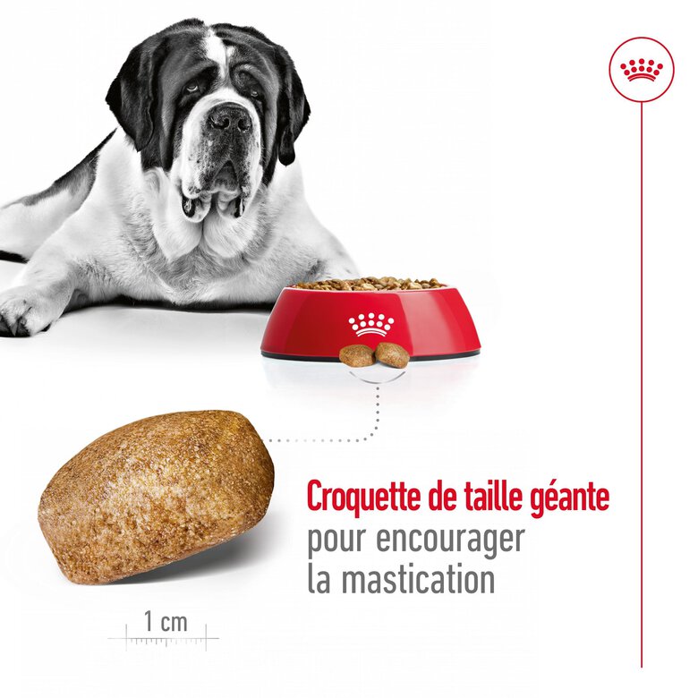 Royal Canin - Croquettes Giant Adult pour Chien - 15Kg Image numéro 5 Royal Canin - Croquettes Giant Adult pour Chien - 15Kg Image numéro 5