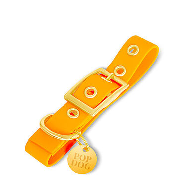 Pop Dog - Collier à Œillet Pitchoune Orange pour Chien - S