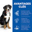 Hill's Science Plan - Adult Croquettes Pour Grand Chien A L'agneau Et Riz  - 12kg Indicateur image numéro 3
