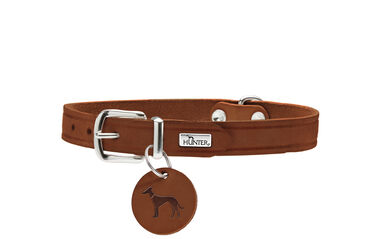 Hunter - Collier Aalborg en Cuir de Boeuf Cognac pour Chiens