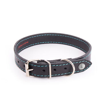 Martin Sellier - Collier Flash Noir/Turquoise pour Chiens