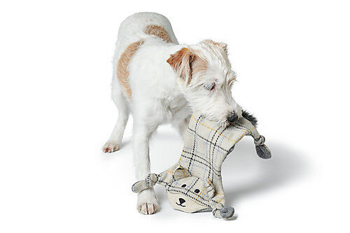 Hunter - Jouet Tapis &agrave; Renifler Billund Renard - 40cm Image num&eacute;ro 2