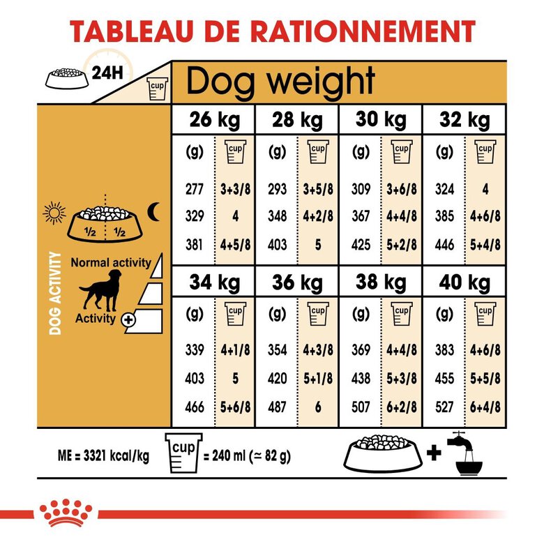Royal Canin - Croquettes Labrador pour Chien Stérilisé - 12Kg Image numéro 6 Royal Canin - Croquettes Labrador pour Chien Stérilisé - 12Kg Image numéro 6