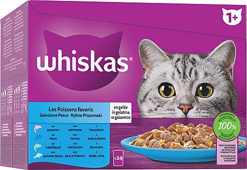Whiskas sachet hotsell